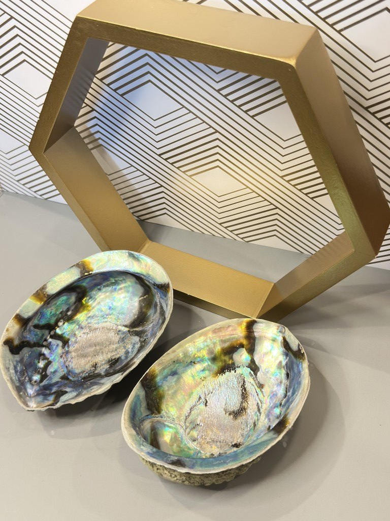 Abalone Shell: The Emotional Soother