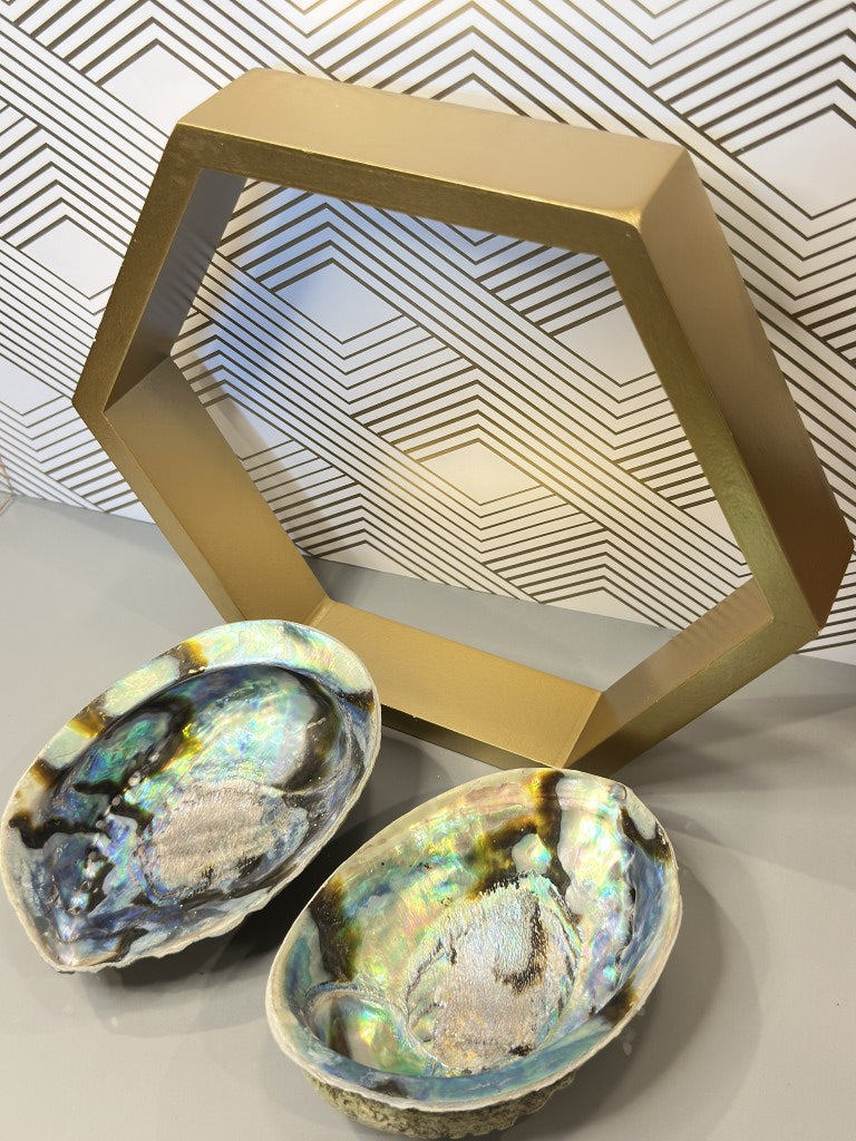Abalone Shell: The Emotional Soother