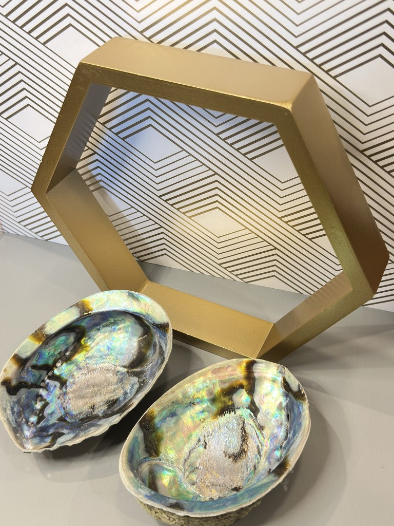 Abalone Shell: The Emotional Soother