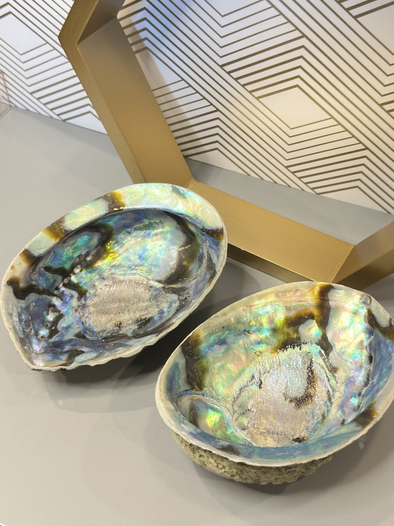 Abalone Shell: The Emotional Soother