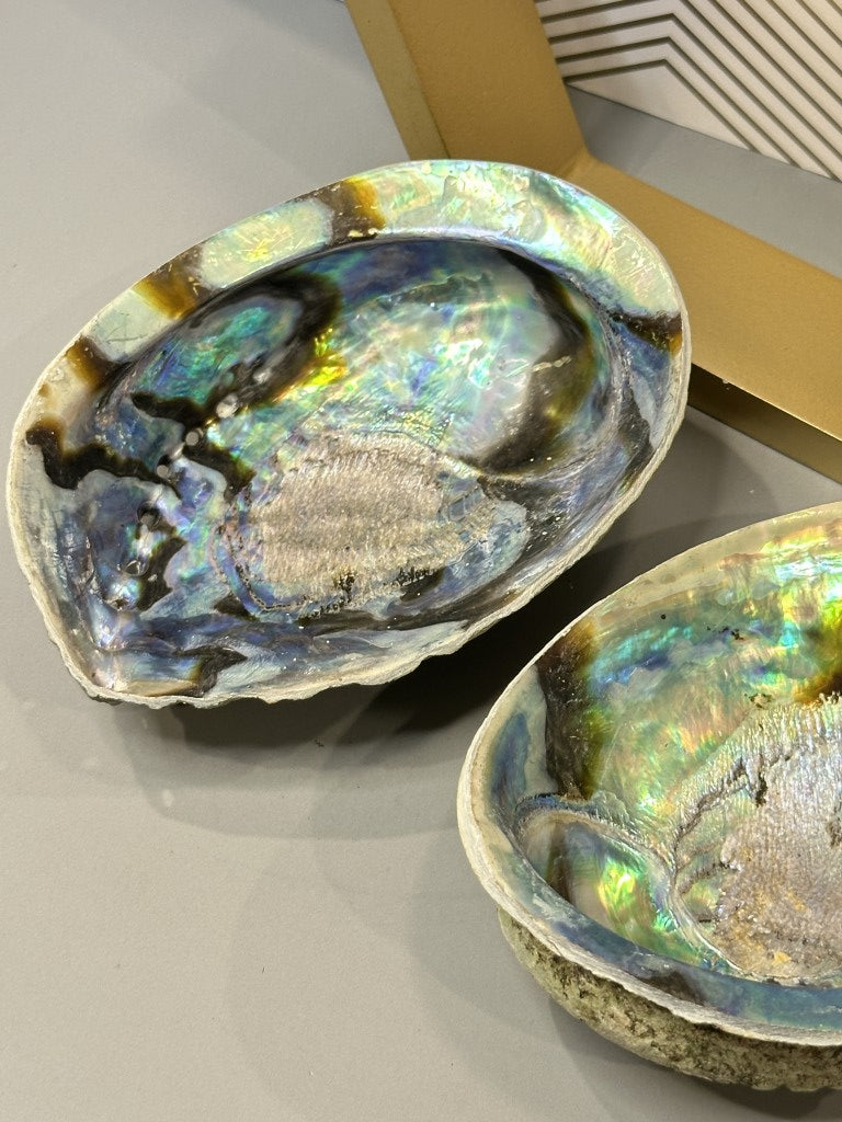 Abalone Shell: The Emotional Soother