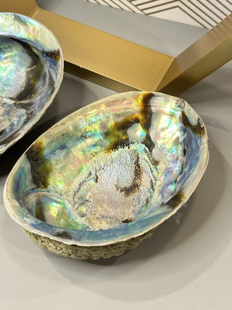 Abalone Shell: The Emotional Soother