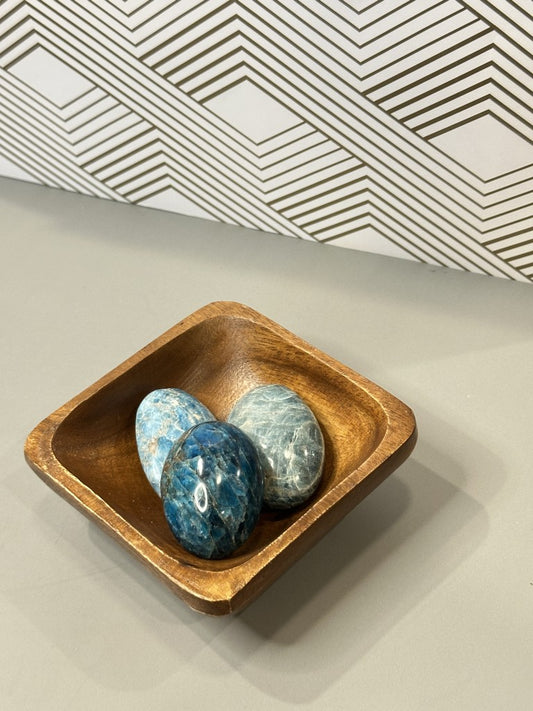Apatite Madagascar Palm Stones: Motivation, Clarity & Inner Vision Inspire Your Mind & Ignite Your Spirit