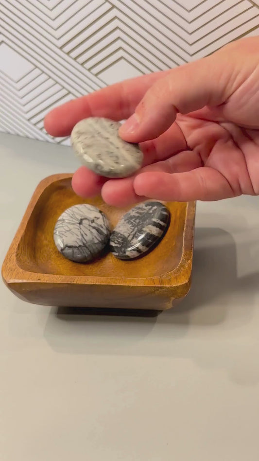 Spider Web Jasper Palm Stone: Calm the Mind, Weave Inner Peace A Stone of Serenity, Connection & Centering